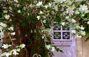 La maison Bohème - Foto 2