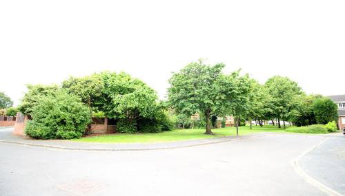 3 Bed Detached - 3 Bathrooms - Parking - Quiet - Foto 2, Garden