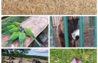 Ferienwohnung Am Rimbach - Foto 26