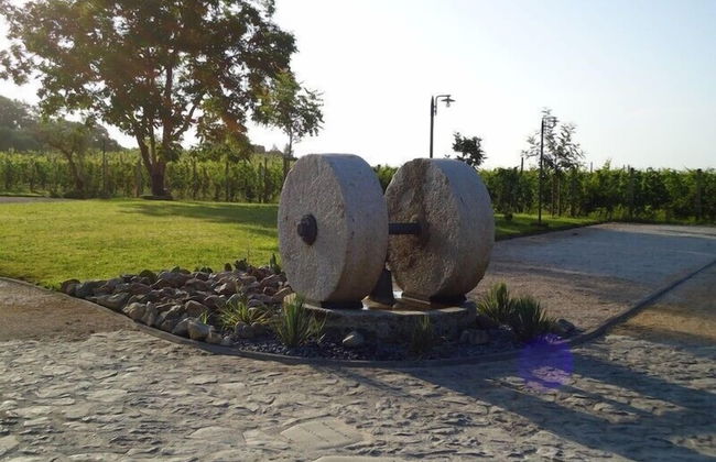 Masseria Campierti - Foto 25