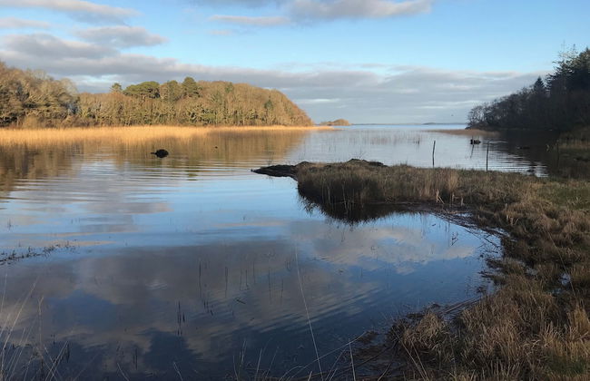 Lakeside Apartment Retreat in Oughterard Connemara - Foto 8