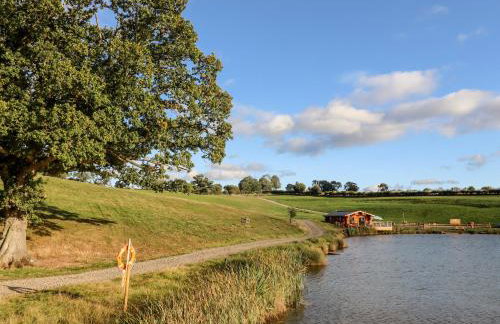 Gander Pod at Salford Court Farm Fishing Cabins - Foto 18