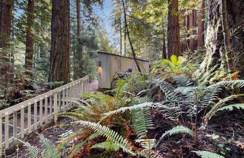 Deep Woods Hideaway - Photo 22