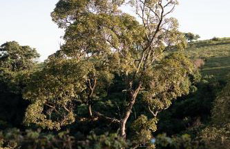 TEKOÁ - Cabana Pitanga - Barreiro, Araxá - Foto 57