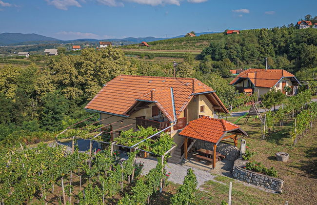 Vineyard Cottage Brodaric - Foto 25
