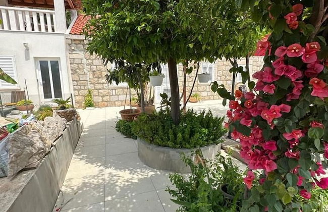 Apartments Ramona - Foto 15