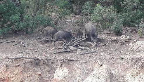 Apartamentos Sevilla - Foto 5