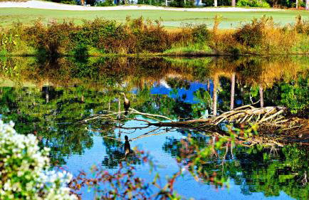 St James Bay Golf & Pickleball Resort - Foto 15