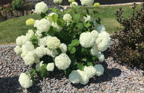 Holiday Home Weins Comfortable Vacation Home - Foto 8