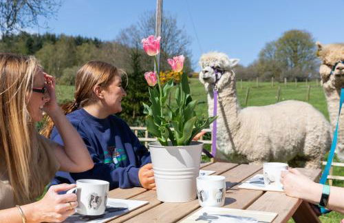 South Barlogan Farm - Photo 8