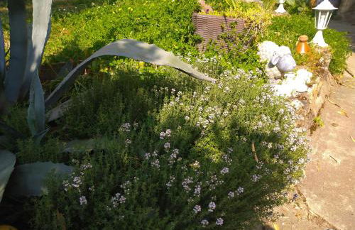 Le Gite de la Loire - Photo 30