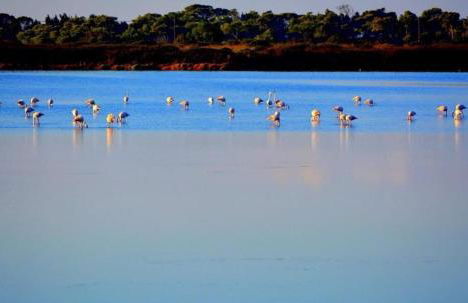 Agriturismo Santa Lucia - Foto 35