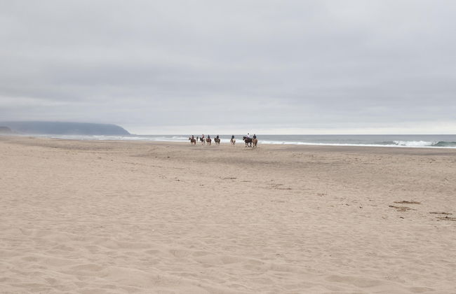 Ocean Waves 1 - Foto 34