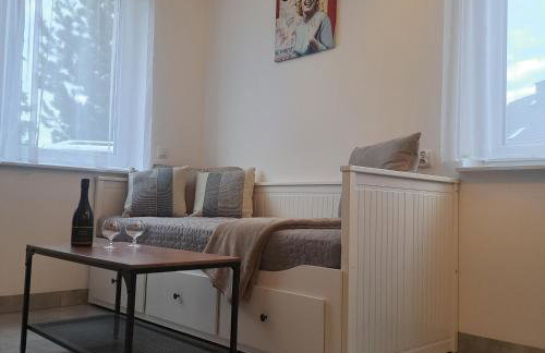 Apartament Gotowizna - Foto 2