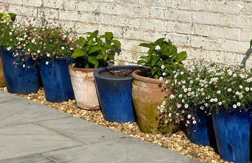 Charming rural cottage & private garden near South Downs - Great location for hiking - Photo 34