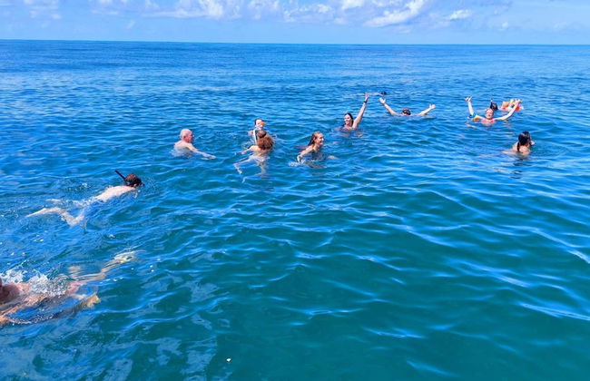 Avistamiento de ballenas en la isla de Boipeba - Foto 6
