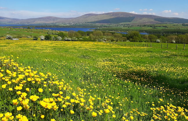 Abhainn Ri Cottages - Foto 27