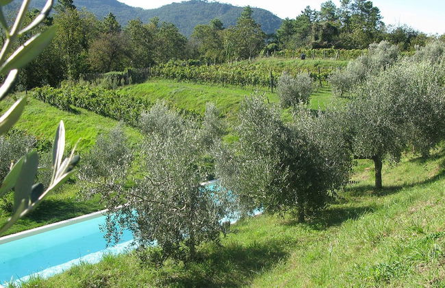 Sostio a Levante Guest House - Photo 15