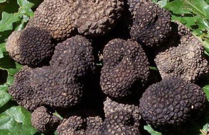 Agriturismo Il Palazzaccio - Foto 38