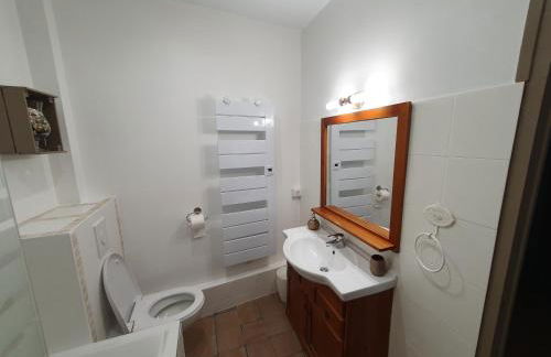 Vitis Vinifera - Foto 17