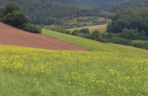 Dog-friendly Holiday Home in the Knull - Foto 45