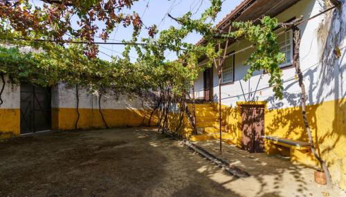 Quinta de Villa Franca - Douro - Photo 2