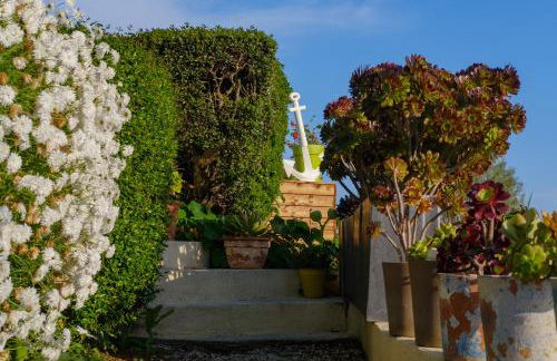 Absolument Levant - Foto 24