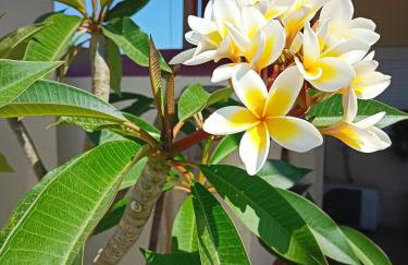 Doma Rooftop Apartment - Foto 14