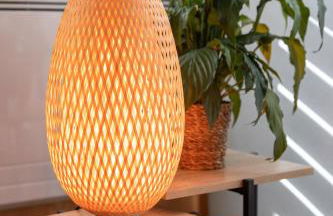 L'Oasis des Coccinelles - Foto 52