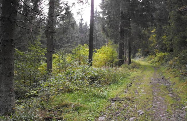 Adorable Aparment in Wildemann With Parking - Foto 71