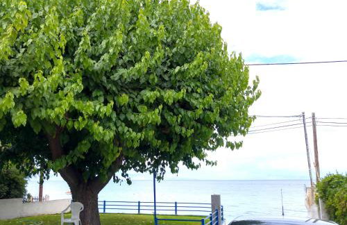 Papadogiannopoulos House - Foto 5