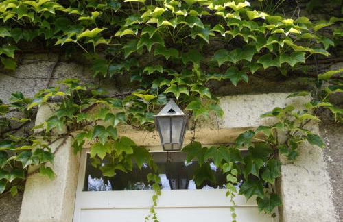 Le Phoenix - gîte 15 personnes parc naturel Vosges Saônoises - Foto 53