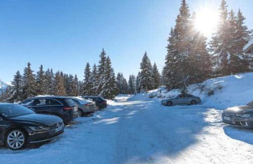 La Foret des Rennes - Les Saisies - Foto 21