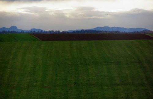 Ferienwohnung Hartinger - Foto 23