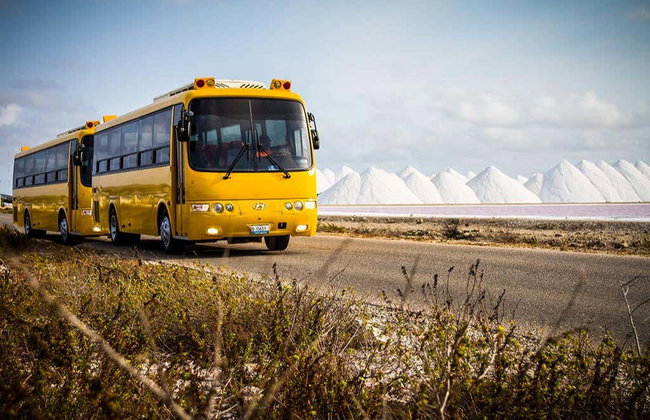 Tour panoramico di Bonaire - Foto 2