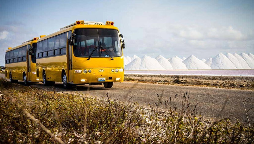 Tour panoramico di Bonaire - Foto 2, Tour panoramico di Bonaire