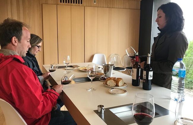 Tour Sorbo a Sorbo por 3 Bodegas Familiares Boutique Rioja (Tour Privado con Almuerzo) - Foto 6