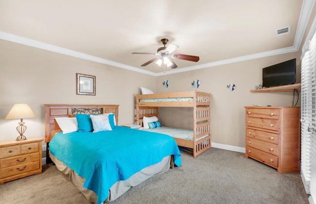 Blue Pelican - Foto 5