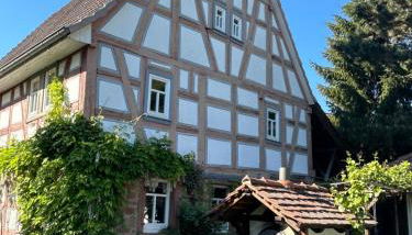 Bergfohlenhof - Photo 4, Garden