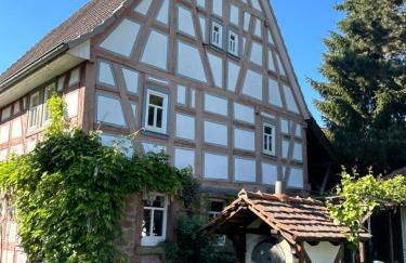 Bergfohlenhof - Photo 4