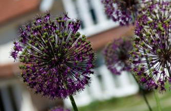 Park House Hotel - Foto 61