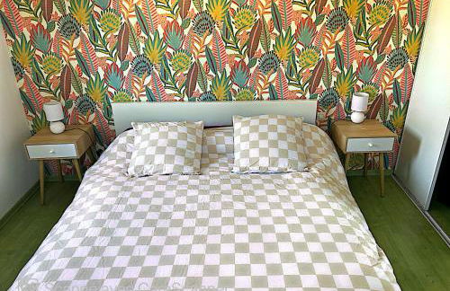 Duplex 3 étoiles rénové centre-ville & clim - Photo 9