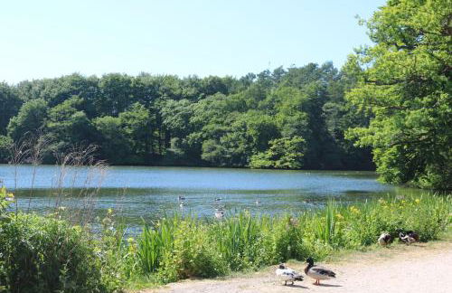 FEWO Seeblick - Foto 24