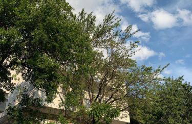 Apartment Kula - Foto 1