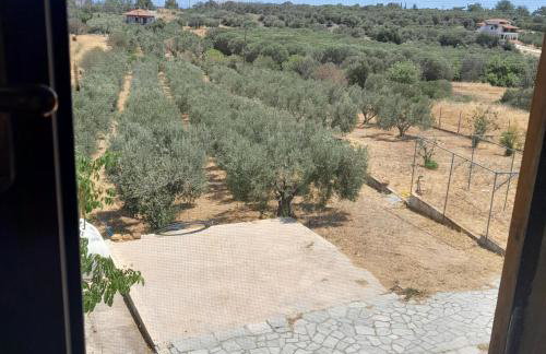 Costa Mama VIlla - Photo 27