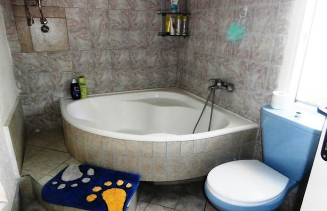 Vila Gerbera - Foto 29