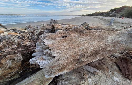 La Dolce Vita - Apartment with shared pool and large terrace - Foto 80