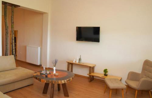 Το Μπαλκόνι Του Όρλιακα - Foto 41