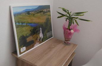 Apartman Danijela - Foto 32