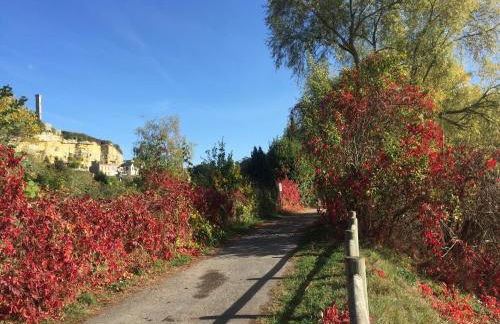 Loire Valley Medieval Getaway - Photo 29